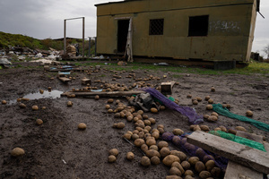 Potatoes were seen scattered around an abandoned Russian base near the Kherson airport. Kherson airport was left with wreckage after Ukrainian troops attacked the base of the Russian forces during their occupation of the area. Hence, Russian troops have fled and abandoned their strategic locations, including Kherson airport.