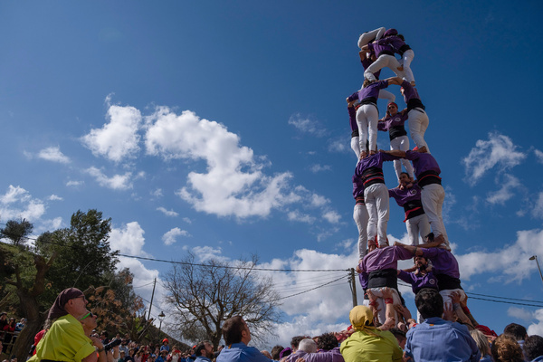 Popular human tower levantada por la colla Merlots de Figueres known as "castelllets" is seen during the annual fair in Fontanilles 
(Girona). On an annual basis, the traditional Oil Fair has taken place in Fontanilles (Girona) with the participation of various "colles castelleres" popular in Catalonia and known as "castelllets".