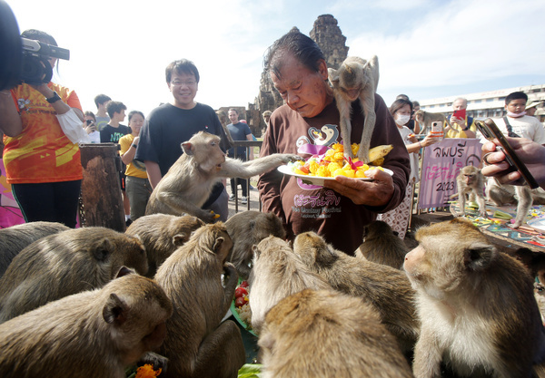Monkeys eat fruit as they cling onto Yongyuth Kitwatananusont, the organiser of the annual Monkey Party Festival, at the Phra Prang Sam Yot temple in Lopburi province, north of Bangkok.