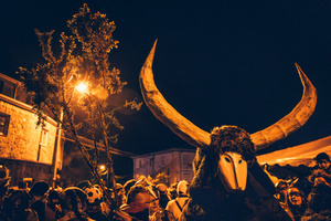 The Felos (carnival revellers of Maceda) wearing wooden mask and horns during the "Baixada da Marela" parade. "At Entrudo (Carnival), in the village of Maceda (Galicia - northern Spain) the villagers dress up as Felos and during the day they parade through the neighboring villages, during the night they do the "Baixada da Marela", they change clothes and wear horns and animal skins and parade with carts through the streets of Maceda, carrying torches, thorny snot and throwing flour at the visitors!".