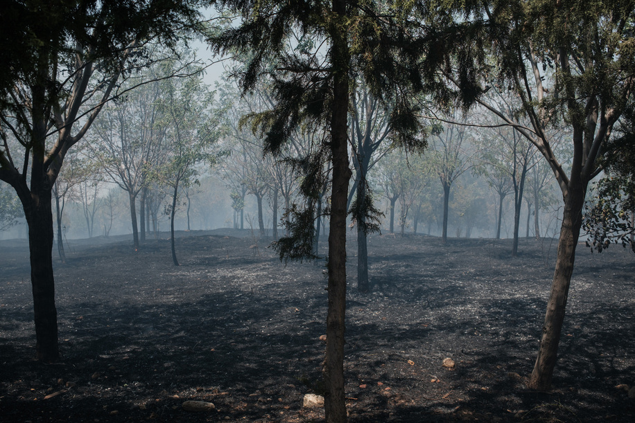 An area destroyed in a fire in Menemen district of Izmir. In Izmir, the western city of Turkey, forest fires have been out of control for days as temperatures and winds rise. Thousands of hectares of land burned around various parts of the city. Many people have been evacuated from their homes and many animals died or were injured in these fires.