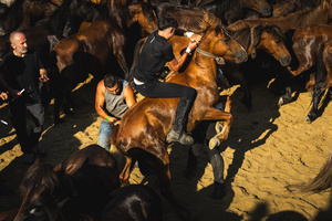 People watch as aloitadores hold a wild horses during the celebration of the Rapa das Bestas. “A Rapa Das Bestas" is an ancient Galician festival (dating back to the 15th century) held in the first days of July. It consists of capturing wild horses in the wild, leading them to a curro (enclosed enclosure) and cutting their manes to deworm and care for them. It is a ritual of strength and tradition that symbolizes the coexistence between man and nature celebrated primarily in Sabucedo.