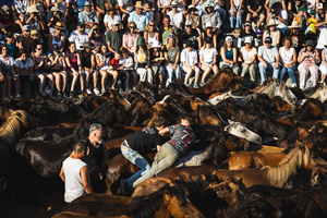 People watch as aloitadores hold a wild horses during the celebration of the Rapa das Bestas. “A Rapa Das Bestas" is an ancient Galician festival (dating back to the 15th century) held in the first days of July. It consists of capturing wild horses in the wild, leading them to a curro (enclosed enclosure) and cutting their manes to deworm and care for them. It is a ritual of strength and tradition that symbolizes the coexistence between man and nature celebrated primarily in Sabucedo.