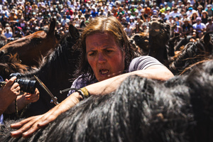 An aloitadore holds a wild horse during the Rapa das Bestas celebration. “A Rapa Das Bestas" is an ancient Galician festival (dating back to the 15th century) held in the first days of July. It consists of capturing wild horses, leading them to a curro (enclosed enclosure) and cutting their manes to deworm and care for them. It is a ritual of strength and a tradition that symbolizes the coexistence between man and nature celebrated primarily in Sabucedo.