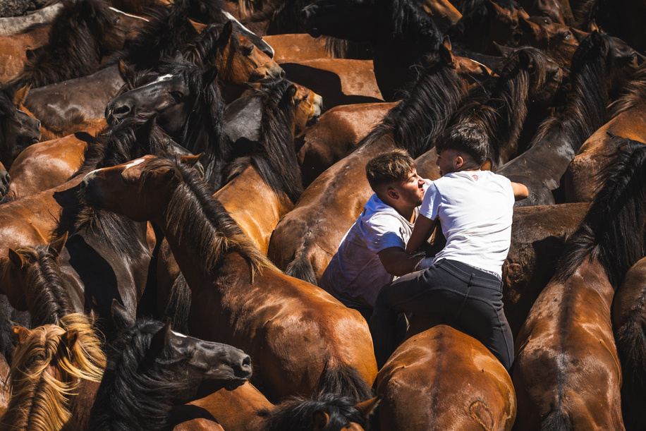 Aloitadores hold a wild horse during the Rapa das Bestas celebration. “A Rapa Das Bestas