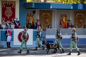 A representation of the Legion parades with a sheep. During the Armed Forces parade on National Day led by King Felipe VI, Queen Letizia, their daughters Leonor de Borbón, Princess of Asturias and Infanta Sofía de Borbón.