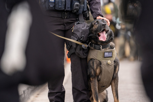 A police K9 sits with his handler in front of the Broadview Immigration Detention Facility. A lawsuit filed October 30, 2025 alleges inhumane, degrading, and humiliating conditions in the facility with a lack of food, water, access to hygiene and medical care, or places to sleep.