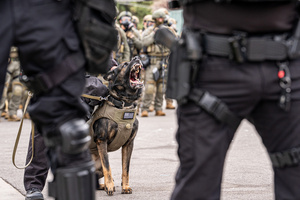 A police K9 sits with his handler in front of the Broadview Immigration Detention Facility. A lawsuit filed October 30, 2025 alleges inhumane, degrading, and humiliating conditions in the facility with a lack of food, water, access to hygiene and medical care, or places to sleep.