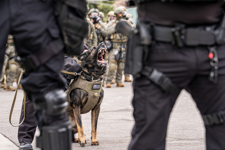 A police K9 sits with his handler in front of the Broadview Immigration Detention Facility. A lawsuit filed October 30, 2025 alleges inhumane, degrading, and humiliating conditions in the facility with a lack of food, water, access to hygiene and medical care, or places to sleep.