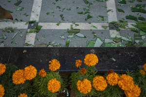 Shattered glass lies across the floor of a nearby house after the explosion at the Nowgam police station in Srinagar. Nine people were killed and 32 others were injured in a major explosion inside a Police Station. Explosives reportedly detonated during a forensic investigation as part of a probe into an earlier blast in India’s capital, New Delhi, that killed 13 people and injured dozens.
