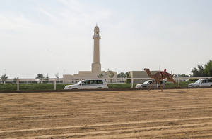 The camels seen setting off in the Arabian camel race at the facility called the "Al Shahaniya Camel Racing Track" . Camels are guided by operators using wireless devices that control robot jockeys, pulling the reins and encouraging the animals through built-in loudspeakers. In 2005, Qatar banned child jockeys from camel racing following international concerns over child exploitation and trafficking. To preserve the sport, lightweight robot jockeys were introduced and are remotely operated by trainers driving alongside the track.