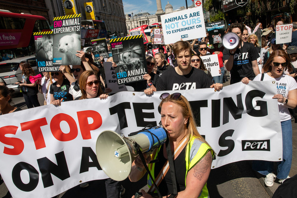 Animal rights activists march through Central London during the World day for Animals in Laboratories demonstration 2026. Hundreds gathered in London on 25 April 2026 for World Day for Animals in Laboratories, assembling in Trafalgar Square before marching along Whitehall to Parliament Square and ending at the Home Office in Westminster. With banners, speeches, and moments of reflection, demonstrators called for an end to animal testing and urged the government to support humane scientific alternatives.