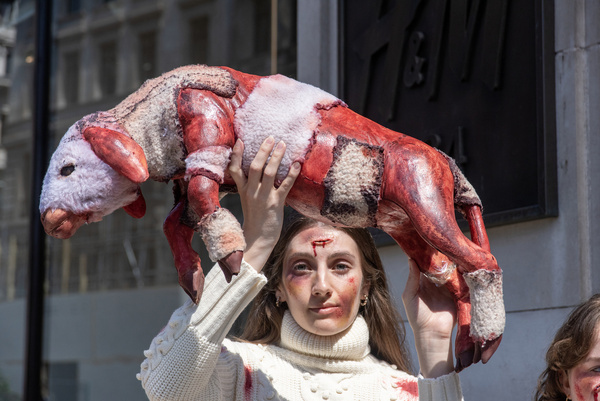 An activist with fake bruises and blood holds up a fake 'dead lamb' during a protest outside the H&M store on Regent Street, calling on the fashion group to stop selling wool products. Activists from the People for the Ethical Treatment of Animals (PETA) staged an theatrical action outside the H&M's flagship store on the Regent Street in central London. PETA is calling on the H&M to cut the ties with the NATIVA-certified (traceable and ethically grown wool) South African wool supply chain because of the animal cruelty on their farms.