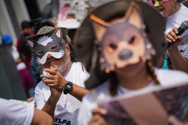 A demonstrator dressed as a skunk marches during a World Environment Day Ecological March.