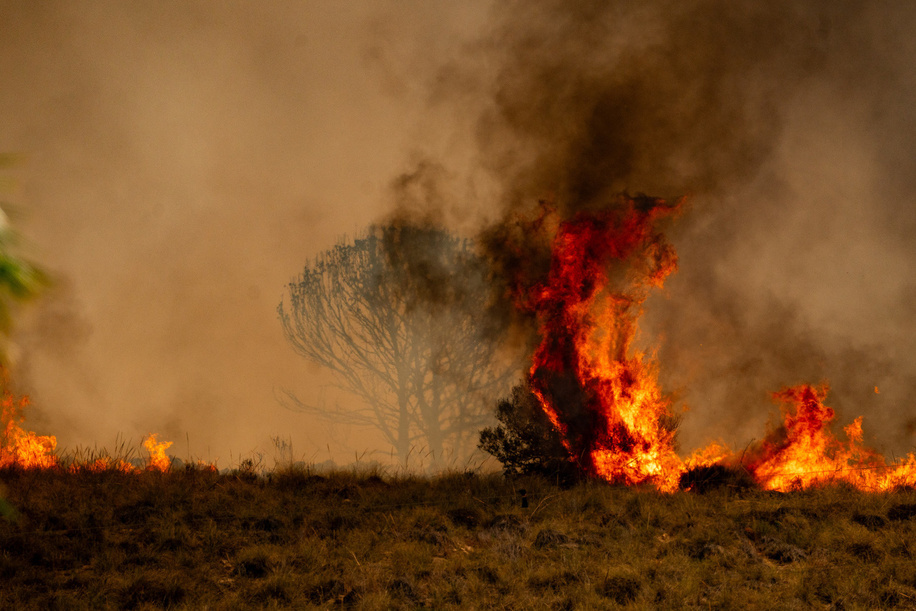 Flames burn near the A7 motorway in Los Gallardos in Almeria. Wildfire in the municipalities of Los Gallardos and Bedar, Almeria province, southern Spain. According to the latest official reports, at least, 12 people have been killed and 23 remain missing. The fire has burned approximately 3200 hectares.