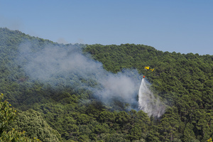 A firefighting helicopter drops water on a forest fire in Ávila as emergency crews work to contain the blaze. The wildfire has prompted an extreme fire danger alert across central Spain including Madrid and surrounding regions.