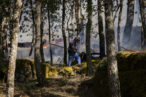 A local villager seen helping contain the flames at a forest fire in Ávila. The wildfire has prompted an extreme fire danger alert across central Spain, including Madrid and surrounding regions.