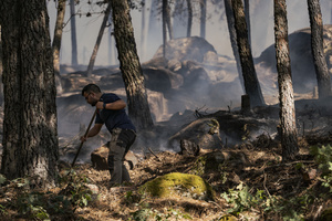 A local villager seen helping contain the flames at a forest fire in Ávila. The wildfire has prompted an extreme fire danger alert across central Spain, including Madrid and surrounding regions.