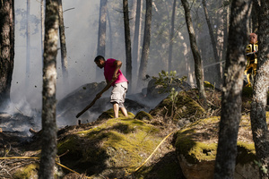 A local villager seen helping contain the flames at a forest fire in Ávila. The wildfire has prompted an extreme fire danger alert across central Spain, including Madrid and surrounding regions.