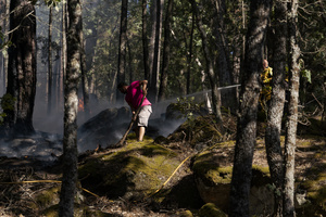 A local villager seen helping contain the flames at a forest fire in Ávila. The wildfire has prompted an extreme fire danger alert across central Spain, including Madrid and surrounding regions.