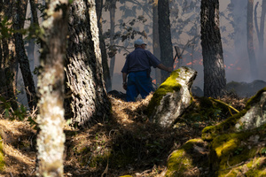 A local villager seen helping contain the flames at a forest fire in Ávila. The wildfire has prompted an extreme fire danger alert across central Spain, including Madrid and surrounding regions.