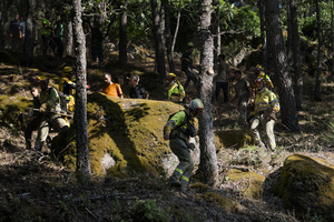 Firefighters are seen battling a large forest fire in Ávila as residents of the village join efforts to contain the flames. The wildfire has prompted an extreme fire danger alert across central Spain, including Madrid and surrounding regions.
