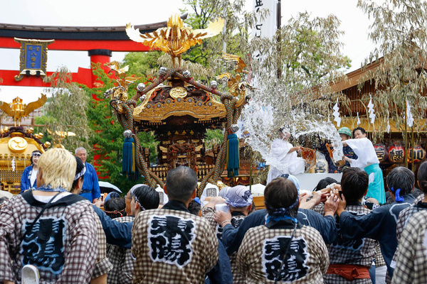 Participants seen carrying a heavily decorated mikoshi (portable shrine) through a cascade of splashing water in Koto Ward during the Fukagawa Hachiman Festival. The triennial festival is one of Tokyo's top three major Edo-period festivals held at Tomioka Hachimangu Shrine. It is well known as the ''Water-Splashing Festival'' (Mizukake Matsuri), where participants toss gallons of purifying water onto shrine bearers to beat the intense midsummer heat and bless the local community.