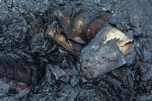 Burned books from the damaged Pochayna book market seen scattered across the debris following a destructive night attack. On the night of August 16, 2026, a massive Russian air strike on Kyiv caused severe destruction and a large-scale fire at the "Pochaina" book market (formerly known as Petrivka) in the Obolon district. The enemy attack completely burned down several rows of trading pavilions containing books and stationery just ahead of the new school year. Emergency response teams worked at the scene to extinguish the blaze, which spread across a vast area. According to preliminary reports from city authorities, at least three people were injured as a result of the overnight attack. The destroyed marketplace had operated in the capital for nearly 30 years and stood as one of the largest hubs for book trade in Ukraine.