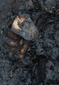 Burned books from the damaged Pochayna book market seen scattered across the debris following a destructive night attack. On the night of August 16, 2026, a massive Russian air strike on Kyiv caused severe destruction and a large-scale fire at the "Pochaina" book market (formerly known as Petrivka) in the Obolon district. The enemy attack completely burned down several rows of trading pavilions containing books and stationery just ahead of the new school year. Emergency response teams worked at the scene to extinguish the blaze, which spread across a vast area. According to preliminary reports from city authorities, at least three people were injured as a result of the overnight attack. The destroyed marketplace had operated in the capital for nearly 30 years and stood as one of the largest hubs for book trade in Ukraine.