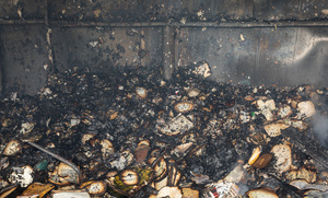 Burnt books and debris seen covering the ground following a massive fire caused by a Russian military attack on the Pochaina book market. On the night of August 16, 2026, a massive Russian air strike on Kyiv caused severe destruction and a large-scale fire at the "Pochaina" book market (formerly known as Petrivka) in the Obolon district. The enemy attack completely burned down several rows of trading pavilions containing books and stationery just ahead of the new school year. Emergency response teams worked at the scene to extinguish the blaze, which spread across a vast area. According to preliminary reports from city authorities, at least three people were injured as a result of the overnight attack. The destroyed marketplace had operated in the capital for nearly 30 years and stood as one of the largest hubs for book trade in Ukraine.