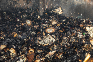 Burnt books and debris seen covering the ground following a massive fire caused by a Russian military attack on the Pochaina book market. On the night of August 16, 2026, a massive Russian air strike on Kyiv caused severe destruction and a large-scale fire at the "Pochaina" book market (formerly known as Petrivka) in the Obolon district. The enemy attack completely burned down several rows of trading pavilions containing books and stationery just ahead of the new school year. Emergency response teams worked at the scene to extinguish the blaze, which spread across a vast area. According to preliminary reports from city authorities, at least three people were injured as a result of the overnight attack. The destroyed marketplace had operated in the capital for nearly 30 years and stood as one of the largest hubs for book trade in Ukraine.