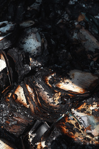 Burnt books seen lying in the debris after a massive fire caused by a Russian attack severely damaged the Pochayna book market. On the night of August 16, 2026, a massive Russian air strike on Kyiv caused severe destruction and a large-scale fire at the "Pochaina" book market (formerly known as Petrivka) in the Obolon district. The enemy attack completely burned down several rows of trading pavilions containing books and stationery just ahead of the new school year. Emergency response teams worked at the scene to extinguish the blaze, which spread across a vast area. According to preliminary reports from city authorities, at least three people were injured as a result of the overnight attack. The destroyed marketplace had operated in the capital for nearly 30 years and stood as one of the largest hubs for book trade in Ukraine.