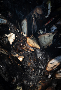 Burnt books seen lying in the debris after a massive fire caused by a Russian attack severely damaged the Pochayna book market. On the night of August 16, 2026, a massive Russian air strike on Kyiv caused severe destruction and a large-scale fire at the "Pochaina" book market (formerly known as Petrivka) in the Obolon district. The enemy attack completely burned down several rows of trading pavilions containing books and stationery just ahead of the new school year. Emergency response teams worked at the scene to extinguish the blaze, which spread across a vast area. According to preliminary reports from city authorities, at least three people were injured as a result of the overnight attack. The destroyed marketplace had operated in the capital for nearly 30 years and stood as one of the largest hubs for book trade in Ukraine.