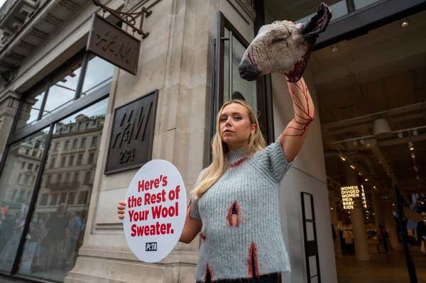 A PETA activist wearing a bloodied wool jumper, carries a realistic severed sheep’s head outside the H&M store during an animal rights demonstration. A PETA activist staged a protest outside H&M’s Regent Street store wearing bloodied faux-wool clothing. The protest called on H&M to stop selling wool and followed the release of a PETA Asia investigation into alleged animal cruelty at a South African wool operation linked to H&M Group’s supply chain. PETA urged consumers to choose vegan alternatives.