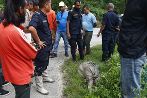 (EDITOR'S NOTE: Image depicts death)
People seen near a corpse of a woman on the ground after it was recovered, following a massive flash flood triggered by an avalanche of ice and rock in the upper Lhende River on the Tibetan side. The sudden flood swept through communities along the Bhote Koshi and Trishuli river, destroying homes, roads and bridges and leaving a widespread devastation downstream.