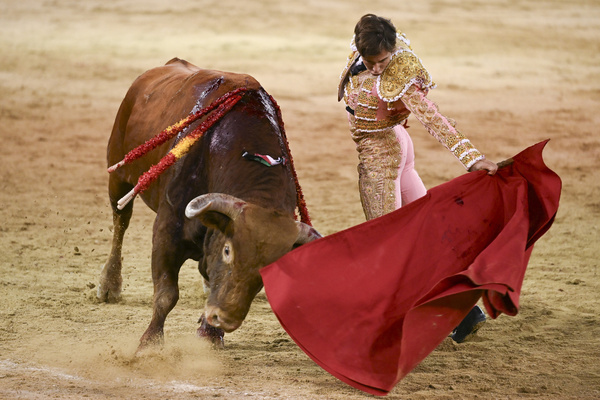 Bullfighter Christian Parejo seen during the bullfight with bulls from the Pedraza de Yeltes ranch at the Plaza de las Ventas in Madrid.