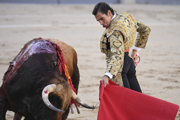 Bullfighter Adrián Centenera during the bullfight with bulls from the La Machamona ranch at the Plaza de las Ventas in Madrid, 6 September, 2026, Spain.