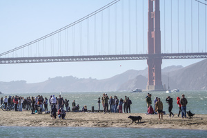 People watch the air show along the waterfront. Crowds gather along the waterfront to watch the San Francisco Fleet Week Air Show as aircraft, including the U.S. Navy Blue Angels, performed in the skies over the city. The annual event is part of San Francisco Fleet Week, which celebrates the U.S. military and honors the men and women serving in the armed forces.