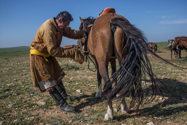 A local man wearing a traditional deel seen mounting a saddle on his horse next to the small town of Adaatsag in the Dundgovi Province in Central Mongolia.