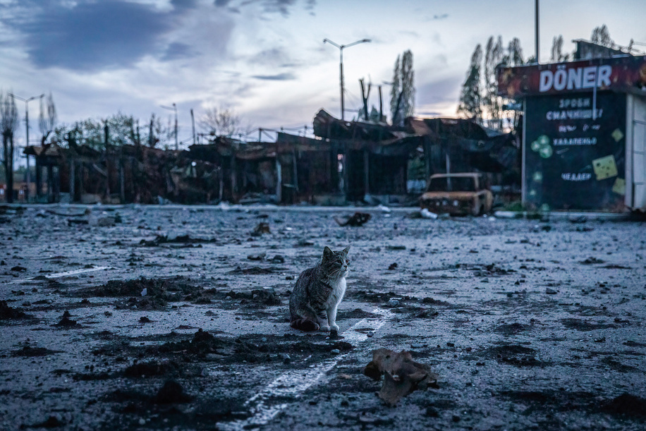 A cat sits in front of the ruins caused by a Russian artillery strike in Saltivka, northeast Kharkiv, Ukraine. As Russia re-supply its troops and concentrates the offensive on the eastern part of Ukraine, Kharkiv, the second biggest city in Ukraine now under constant threat of Russian bombardment and airstrikes.