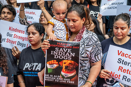 Stray dog lovers and some NGO members stage a protest at Jantar Mantar. Animal lovers held placards as they protested against the recent Supreme Court order directing authorities in the Delhi-National Capital Region (NCR) to pick up stray dogs from all localities and relocate them to dog shelters.