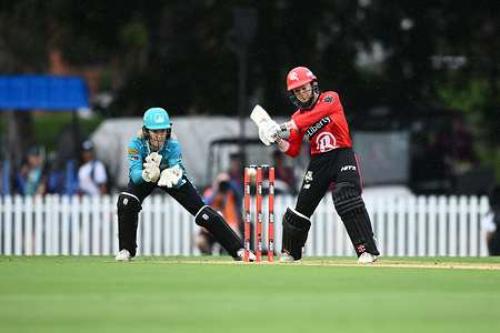 Courtney Webb of the Melbourne Renegades in action during the WBBL opening season game between Brisbane Heat and Melbourne Renegades at Allan Border Field. Final Score; Melbourne Renegades win by 7 wickets (DLS Method).