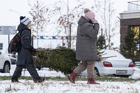 A woman and a kid seen carrying a Christmas tree during snowfall on the streets of St. Petersburg.