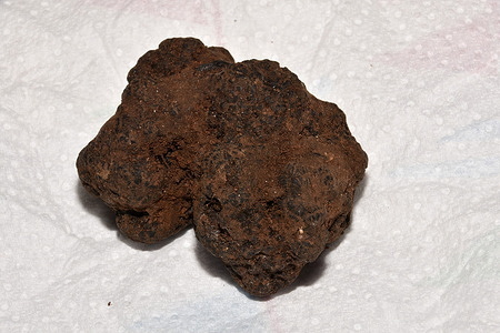 A truffle is seen on a white paper.