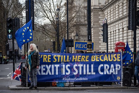 Protesters seen with a banner and flags expressing their opinions at the Parliament Square. Pro-EU activists gathered at the Parliament Square for their annual demonstration to demand the British government to rejoin the European Union.