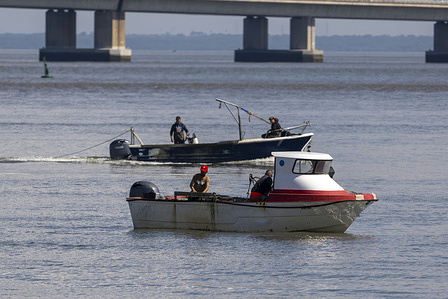 Fishermen on boats with outboard motors seen gathering mussels and crustaceans near the Vasco da Gama Bridge, on the banks of the Tejo River. Fishing is one of Portugal's most important traditional industries. It takes place along the entire coastline and combines artisanal practices with industrial operations, ranging from deep-sea fishing to port-based activities. The sector plays a key role in the local economy and in the livelihoods of numerous communities.
