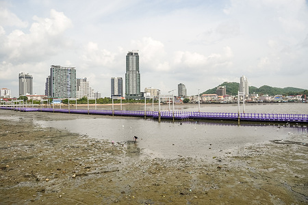 A view of the sea at low tide, with the purple bridge linking Si Racha to Koh Loy Island and the Si Racha city skyscrapers seen in the background. Koh Loy is a small island in the Gulf of Thailand, connected to the mainland of Si Racha by a 500-meter-long bridge.