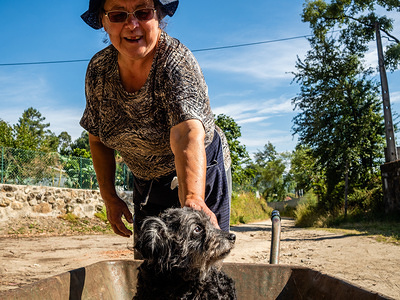 A Portuguese woman seen with her dog on a wheelbarrow, after working in a field.
The Camino de Santiago (the Way of St. James) is a large network of ancient pilgrim routes stretching across Europe and coming together at the tomb of St. James (Santiago in Spanish) in Santiago de Compostela in north-west Spain. The Portuguese Way is the second most popular Camino in terms of numbers of pilgrims. From Lisbon to Santiago there are around 610 kilometers approx. A way that allows you as a pilgrim to see rural Portugal, full of green fields, rural villages, and little towns, where you can have a nice talk with local people.