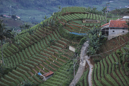A general view of the terraced agricultural land in Argapura, Majalengka, West Java. In addition to farming, terrace is also a tourist destination.