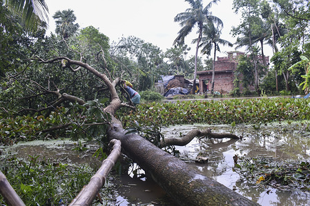 View of a fallen tree after the Cyclone Amphan attack.
The cyclone has killed at least 12 people and ravaged Hoogly and several parts of West Bengal. It has destroyed thousands of homes and swamped low-lying areas of the state.